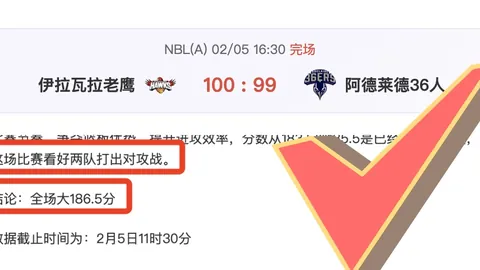 勒沃库森德甲击败波鸿