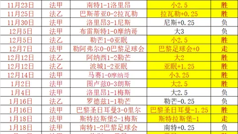 居莱尔应加强训练，恰尔汗奥卢期待其加入国米